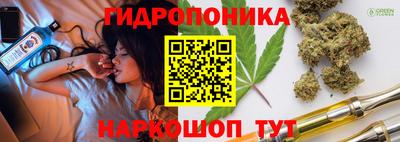 шишки Берёзовский