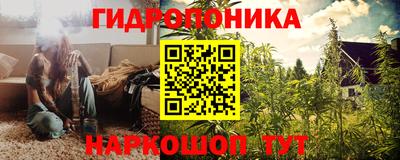 шишки Берёзовский