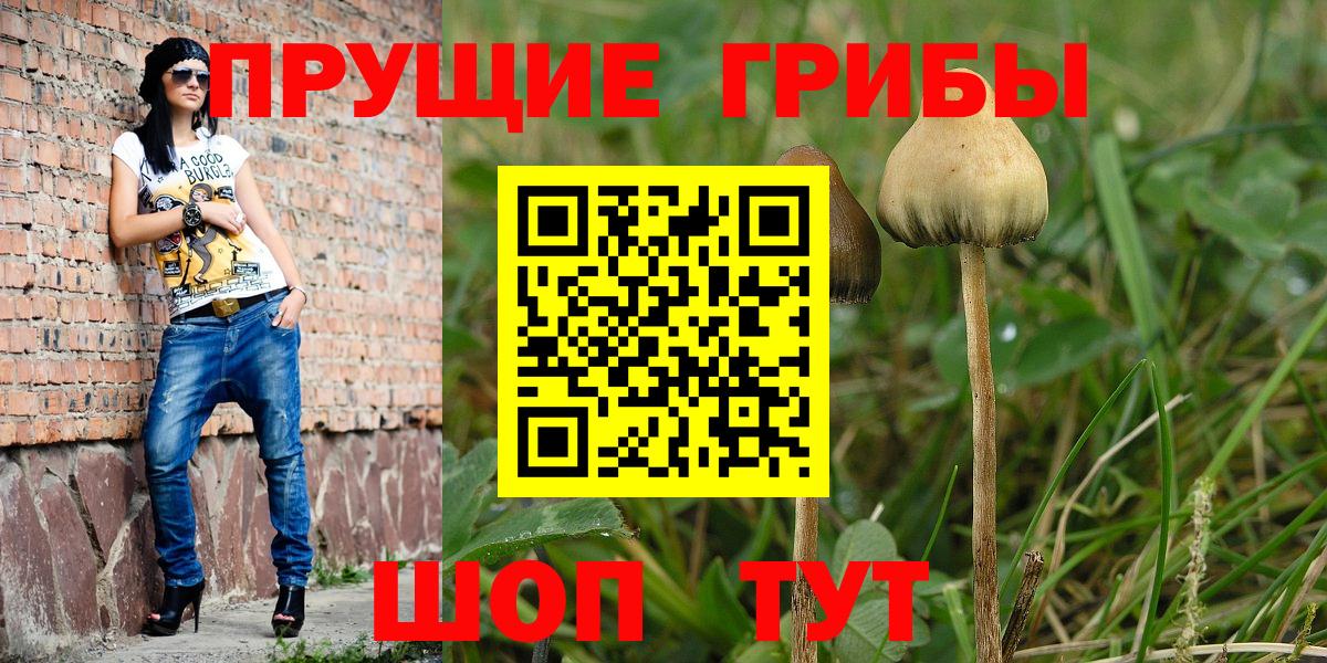 Каннабис Бор