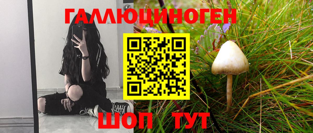 Бор  Галлюциногенные грибы мицелий  Вход с VPN  дарнет шоп  Галлюциногенные грибы MAGIC MUSHROOMS 