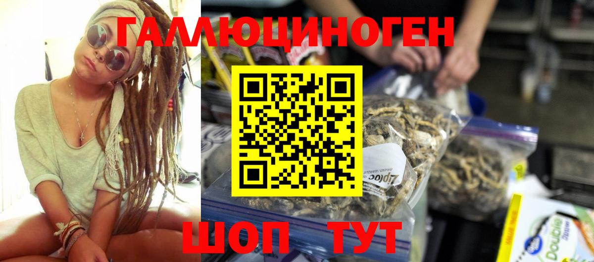 Галлюциногенные грибы Psilocybine cubensis Бор